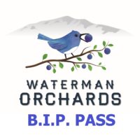 B.I.P. pass